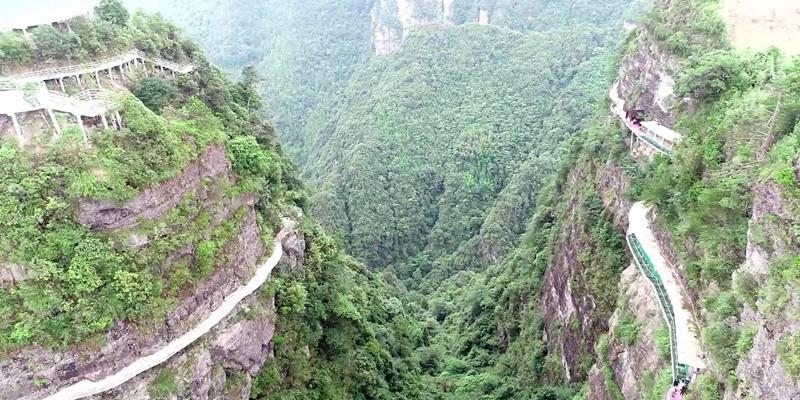 逃离粉红岛